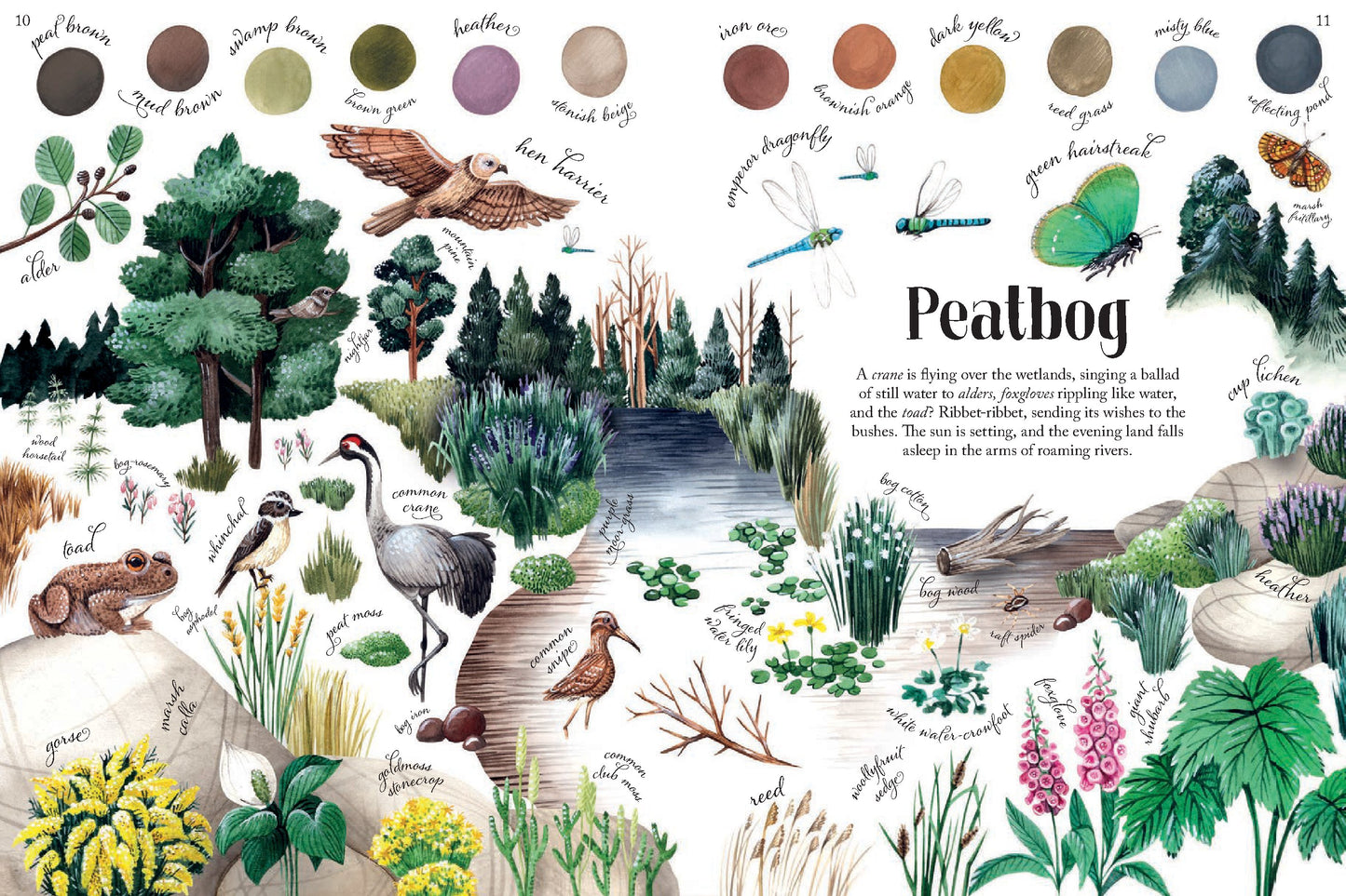 Colors of Habitats | Hardcover