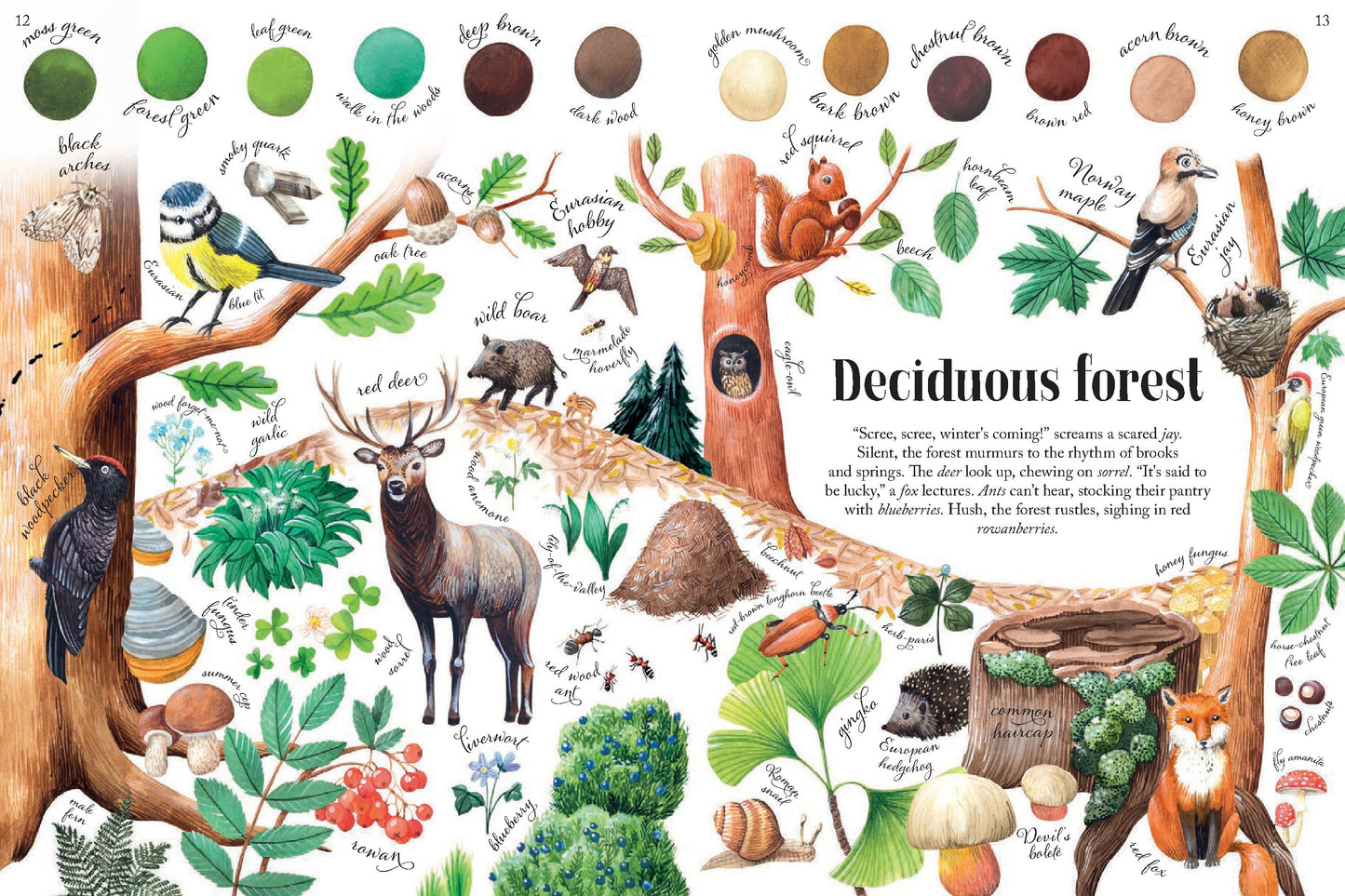 Colors of Habitats | Hardcover