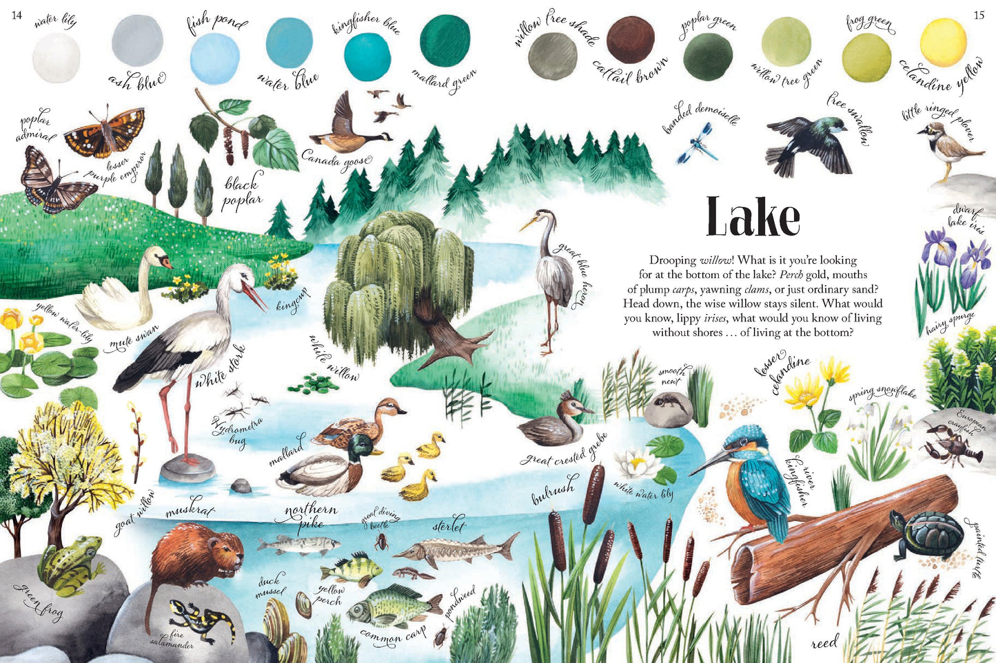 Colors of Habitats | Hardcover