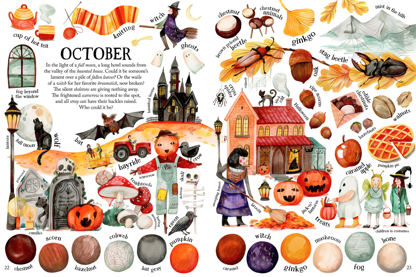 The Year in Colors | Hardcover