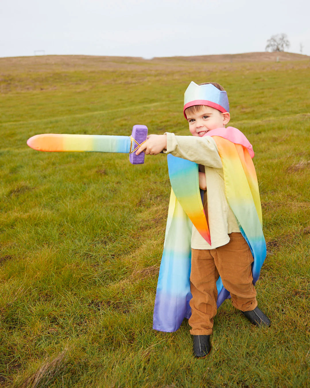 Sarah's Silks Rainbow Shield