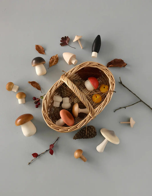 Moon Picnic Forest Mushrooms Basket