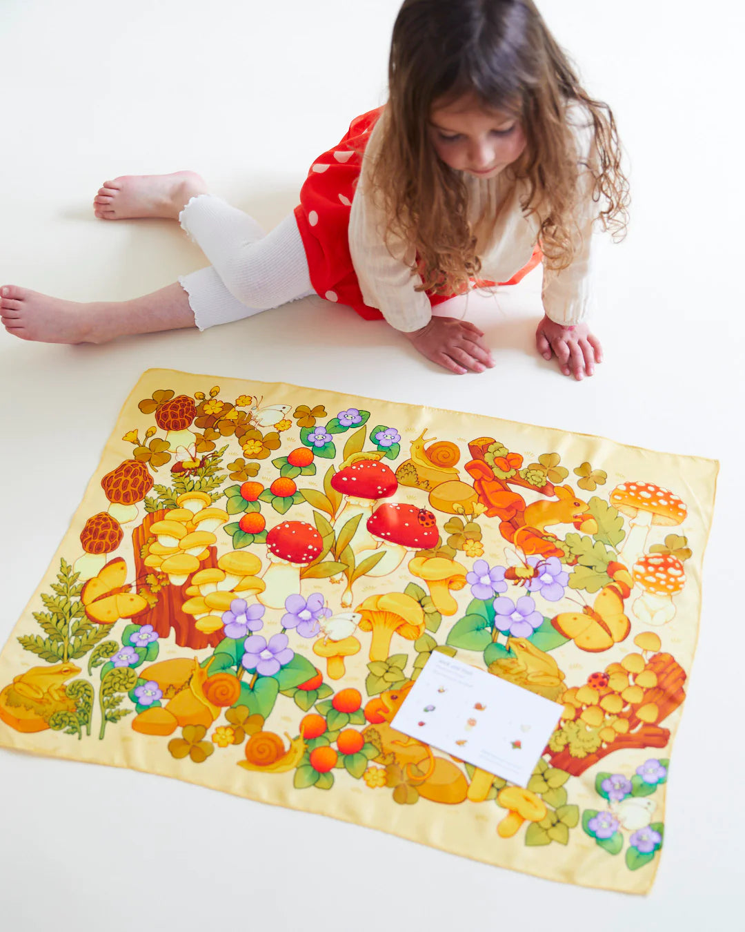 Sarah's Silks Seek & Find Mushroom Playsilk