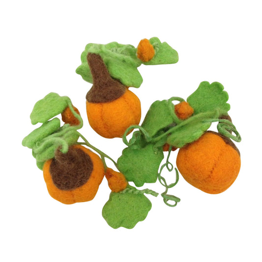 Papoose Mini Pumpkin (3pcs)
