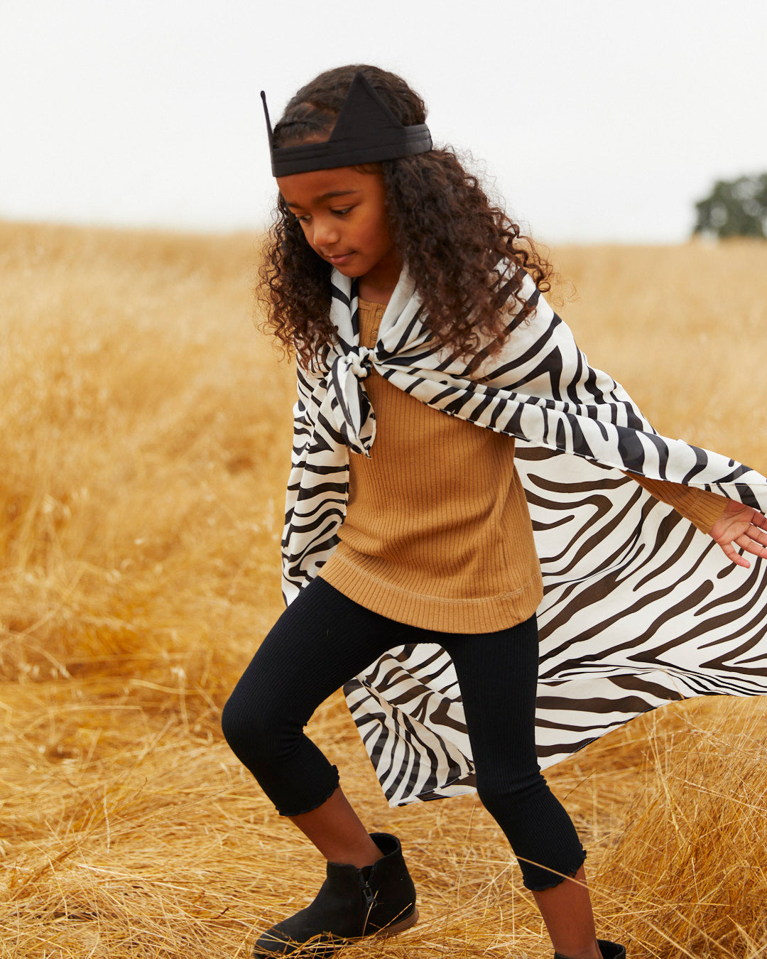 Sarah's Silks Zebra Playsilk