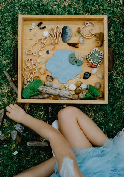 Pond Life Eco Cutter™ Set