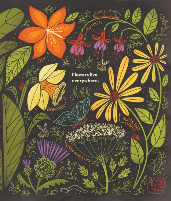 What's Inside A Flower? | Hardcover