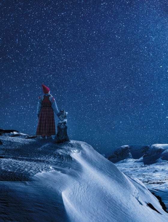 The Polar Bear Wish | Hardcover