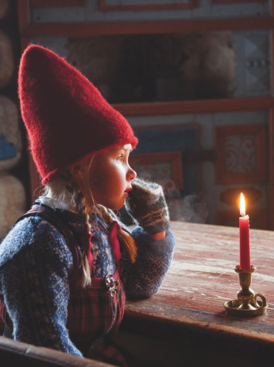 The Reindeer Wish | Hardcover