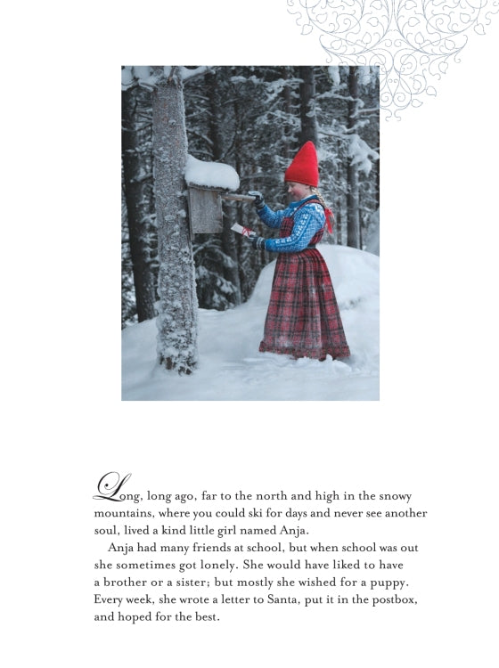 The Reindeer Wish | Hardcover