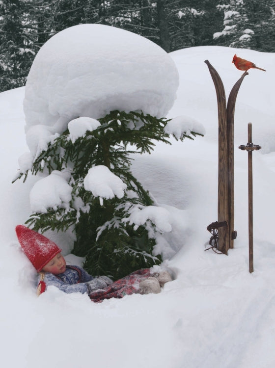 The Reindeer Wish | Hardcover