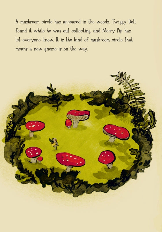 The Newest Gnome | Hardcover