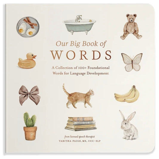 Our Big Book of First Words | Boardbook