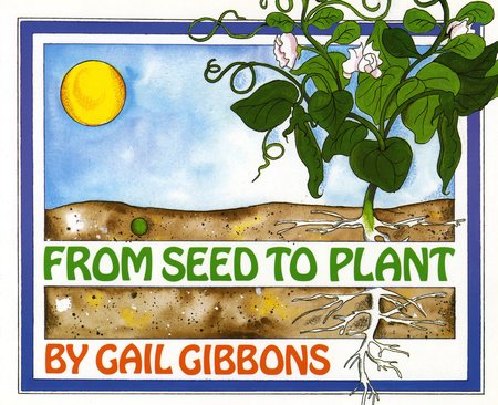 From Seed to Plant | Paperback
