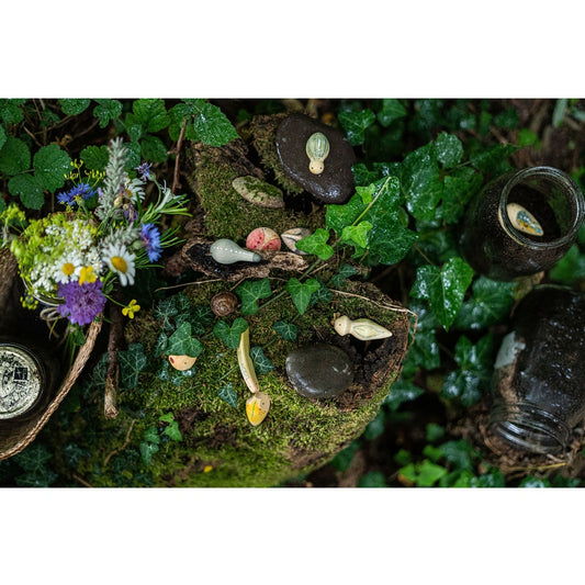 Grapat Wood Wild 12pcs with Tray