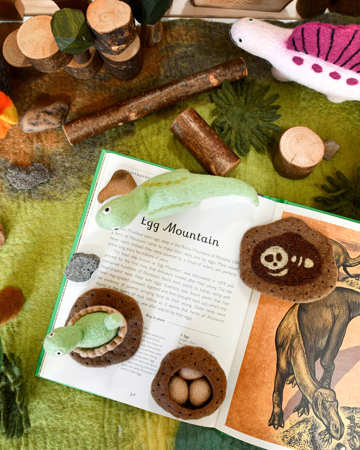 Tara Treasures Felt Life Stages of a Dinosaur