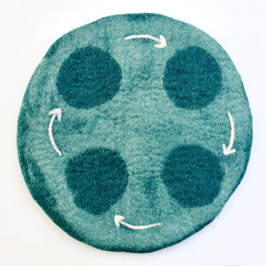 Tara Treasures Felt Life Cycle Tray Playmat (Water)