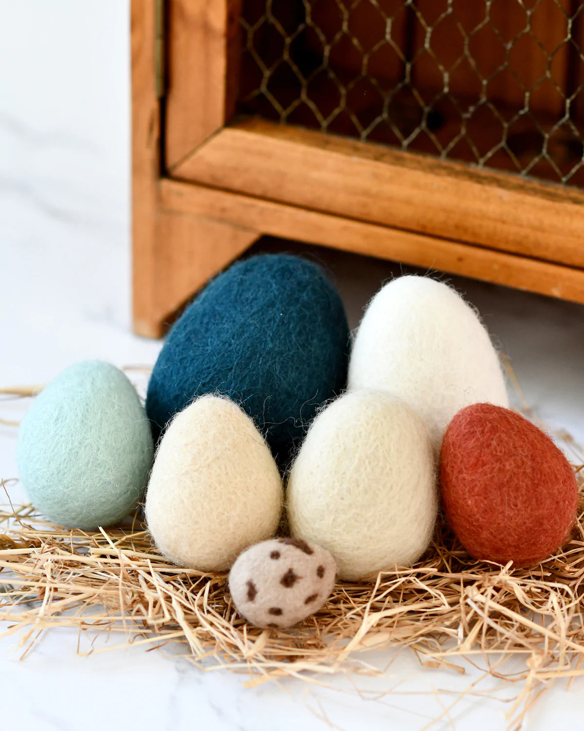 FELT EGGS (7 TYPES OF POULTRY EGGS)
