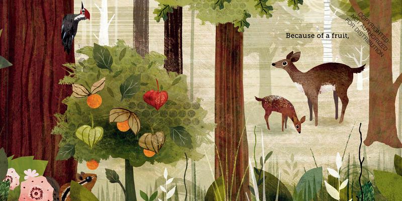 Because of an Acorn | Hardcover