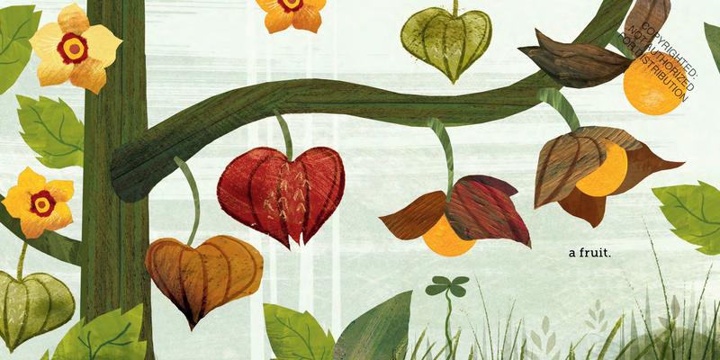 Because of an Acorn | Hardcover