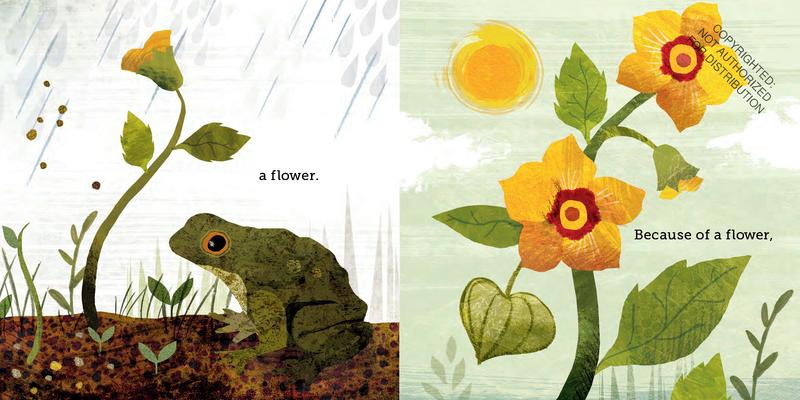 Because of an Acorn | Hardcover
