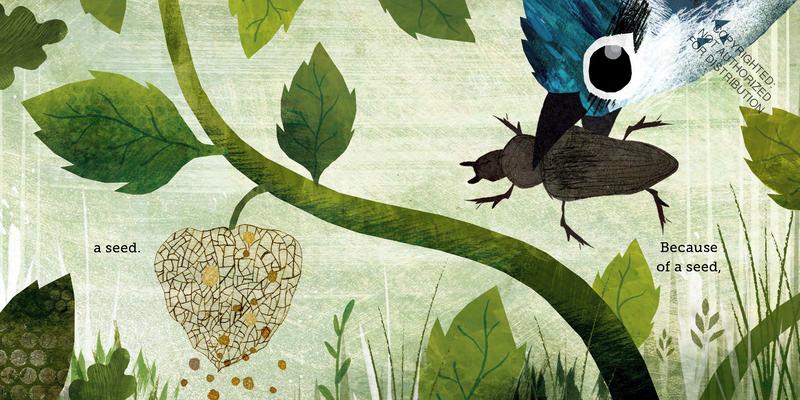 Because of an Acorn | Hardcover