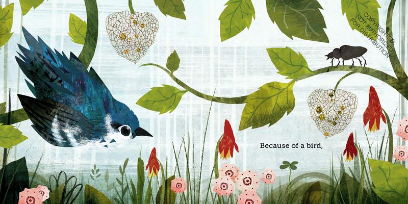 Because of an Acorn | Hardcover