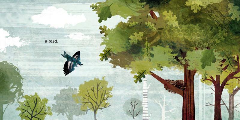 Because of an Acorn | Hardcover