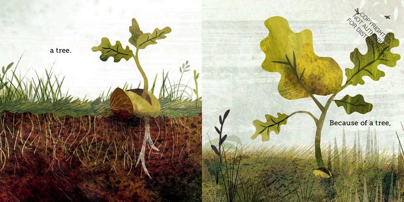 Because of an Acorn | Hardcover