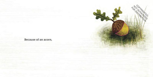 Because of an Acorn | Hardcover