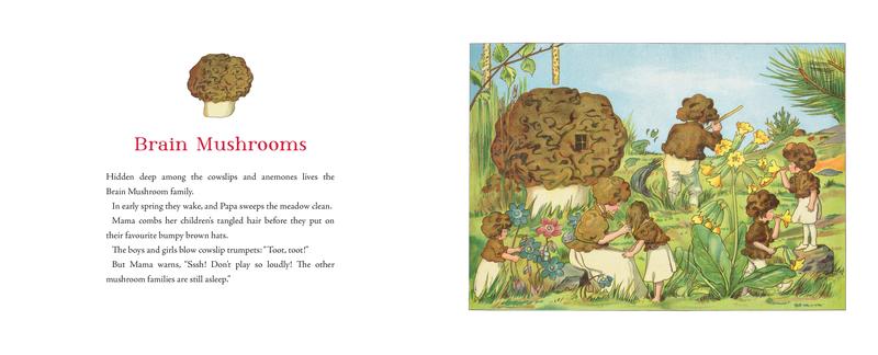 Tales of the Mushroom Folk | Hardcover