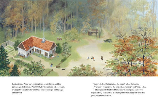 A Year Around the Great Oak | Hardcover