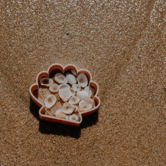 *PRESALE* Eco Cutter™ Sea Shell Mould