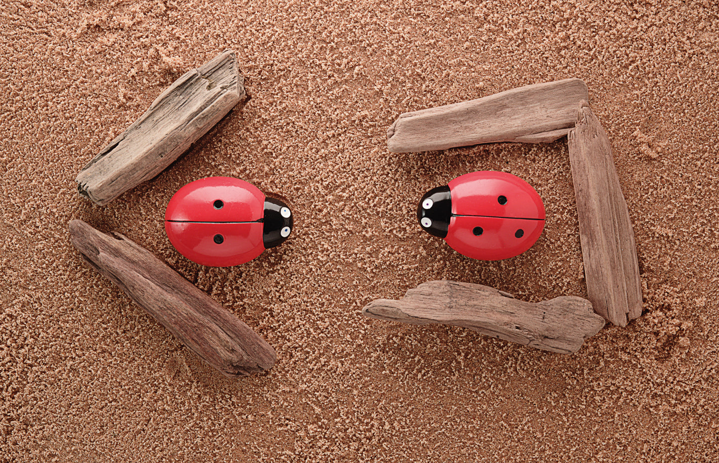 Ladybug Counting Stones