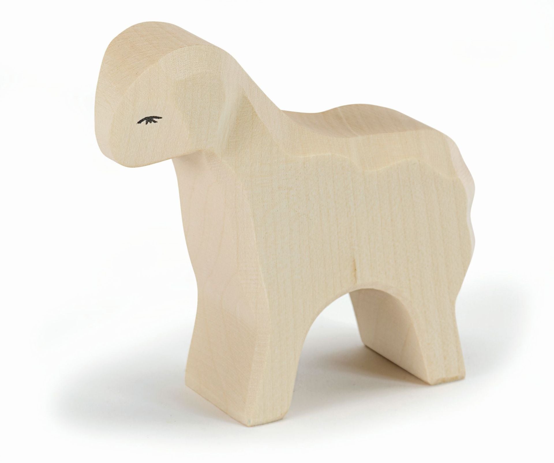 Ostheimer Sheep standing