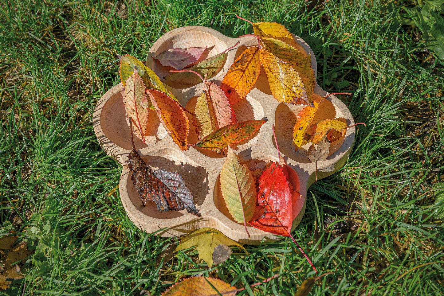 Natural Flower Tray (7 section)