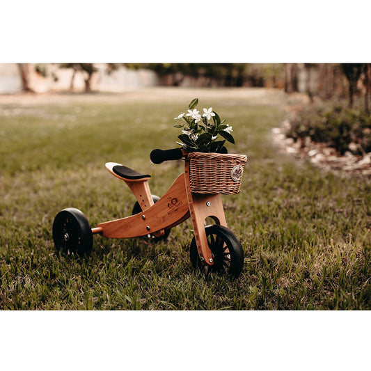 Bike Basket | Special Order