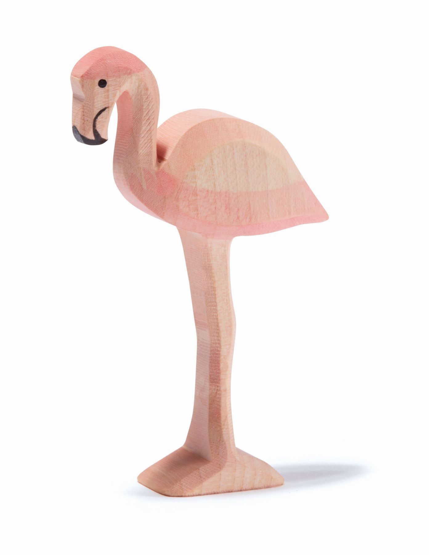 Ostheimer Flamingo