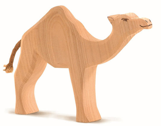 Ostheimer Dromedary camel