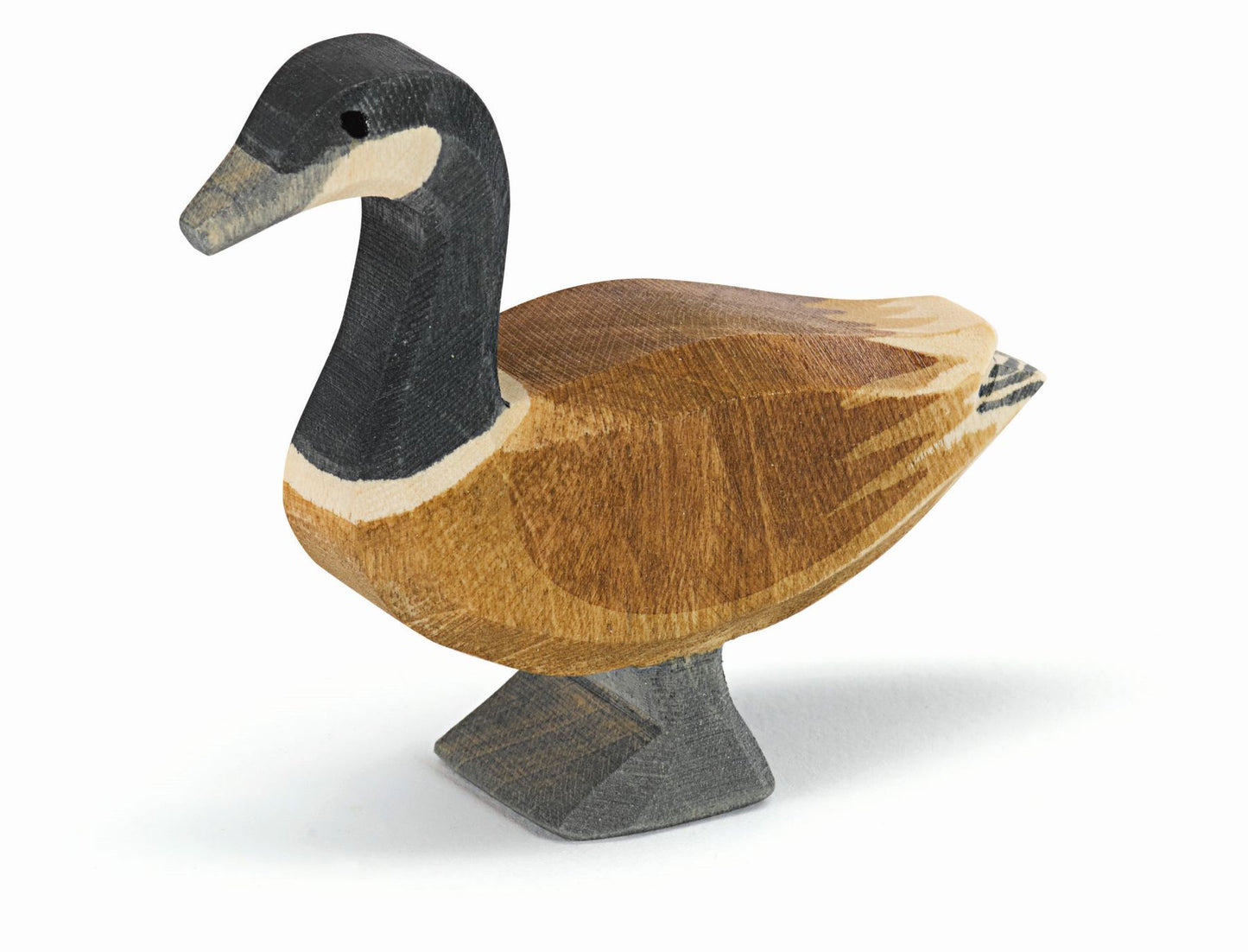 Ostheimer Canada Goose standing