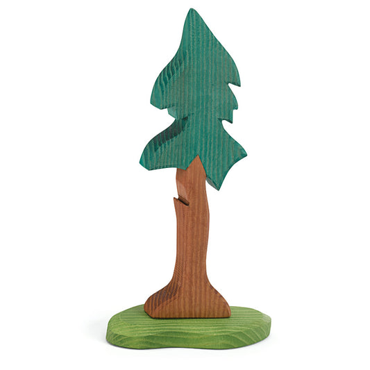 Ostheimer Landscape - Spruce Tall With Trunk and Support