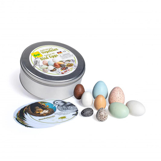 Wooden Discovery Bird Eggs