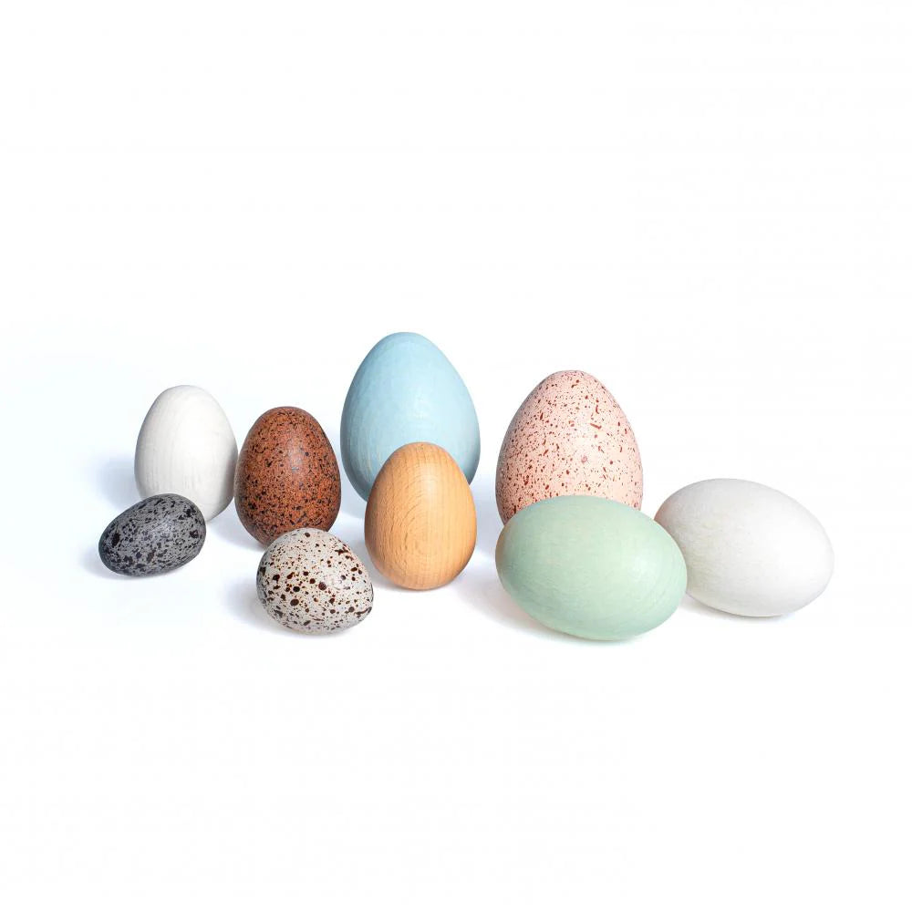 Wooden Discovery Bird Eggs