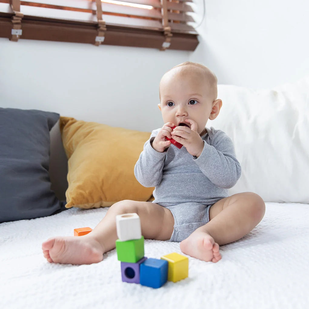 PlanToys Activity Blocks