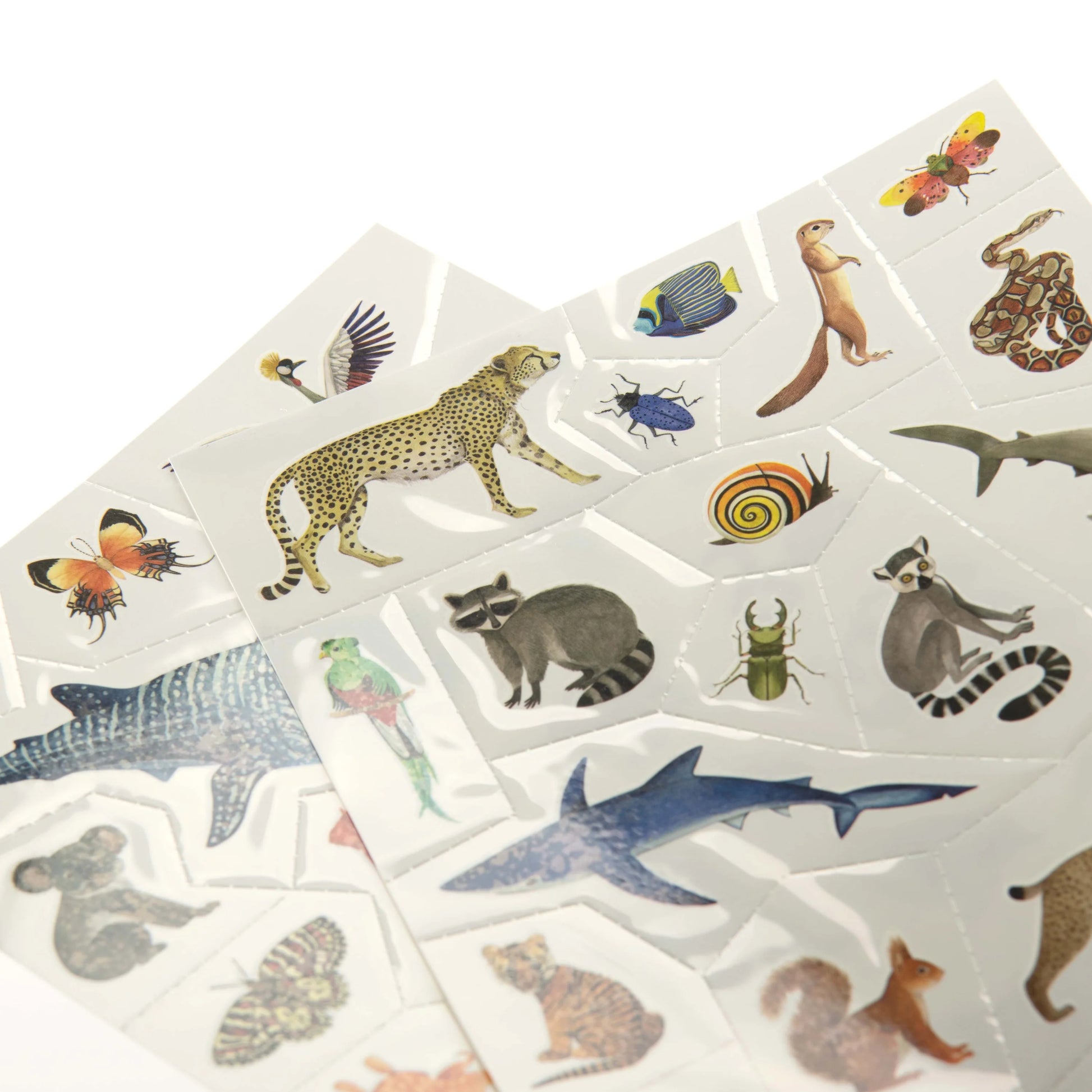 Tattoos | Tout autour du monde