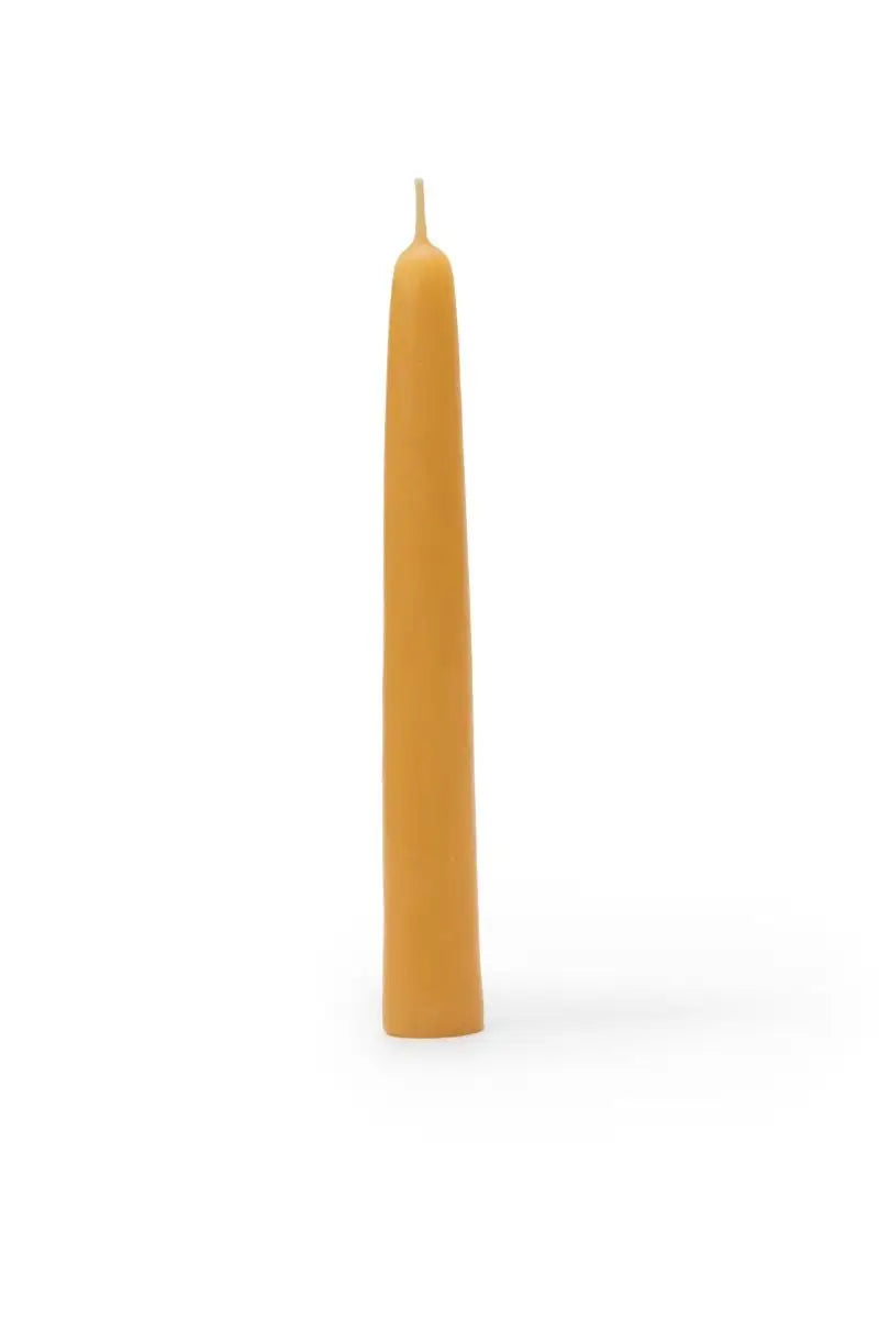 Beeswax Celebration Ring or Christmas Tree Candles