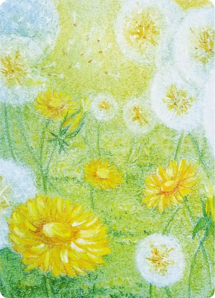 Field of Wishes Postcard by Kapitein Kalk