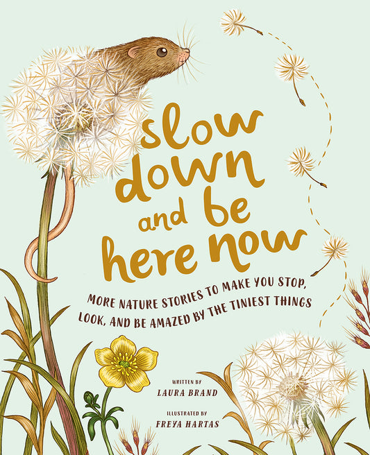 Slow Down and Be here Now | Hardcover