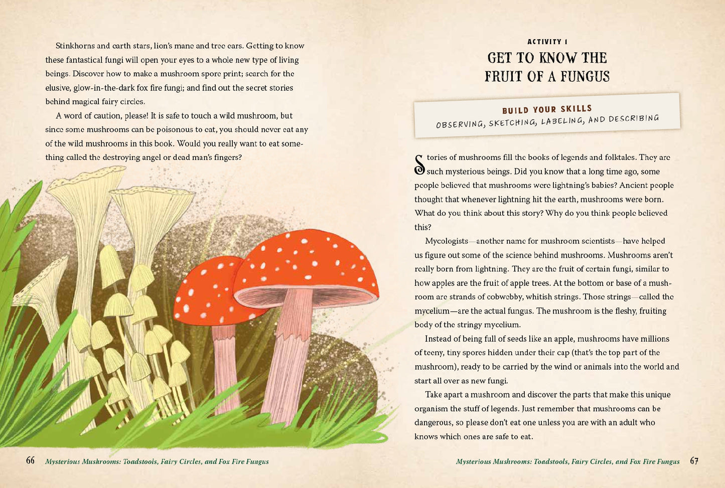 Forest Magic for Kids How to Find Fairies, Make a Secret Fort, and Cook Up an Elfin Picnic  | Activity Book