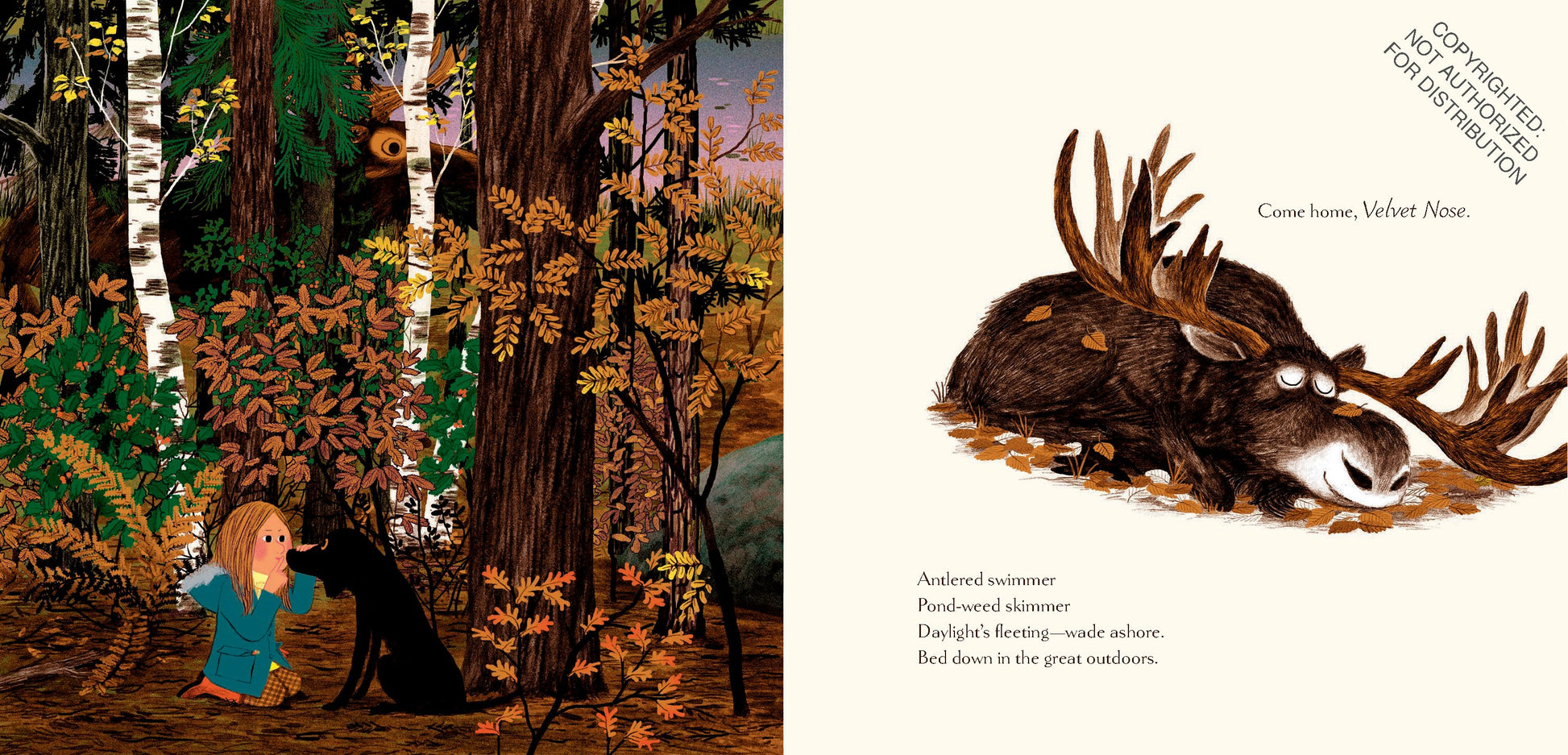 Woodland Dreams | Hardcover